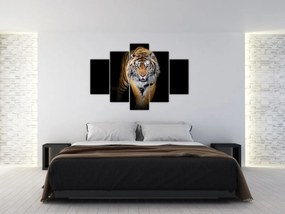 Tablou - Tiger (150x105 cm)
