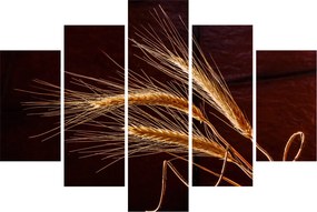 Tablou - Spic în prim plan (150x105 cm)