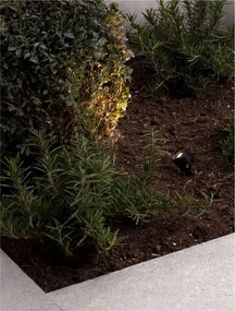 Proiector LED cu Tarus iluminat exterior IP65 SENTO 3000K antracit