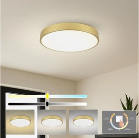 Brilagi - Plafonieră LED POOL, 60 W, 230 V, 3000/4500/6000 K, Ø 60 cm, auriu