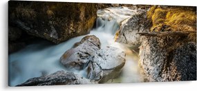 Tablou - Râul din pădure (120x50 cm)