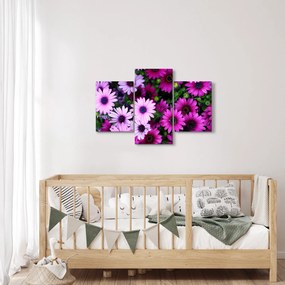 Tablou - Flori (90x60 cm)