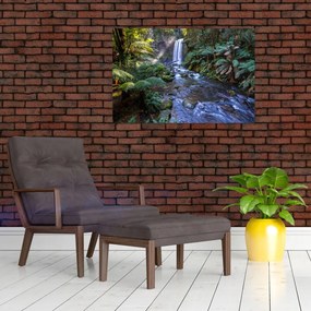 Tablou cu pădurea ploilor din Austalia (90x60 cm)