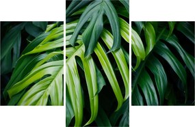 Tablou - Frunze tropicale (90x60 cm)