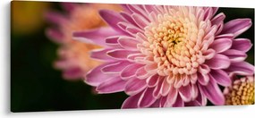 Tablou detailat cu flori (120x50 cm)