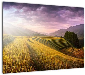 Tablou peisajului (70x50 cm)