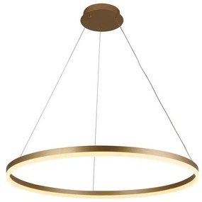 Lustră LED dimabilă pe cablu Brilagi CIRCLE LED/55W/230V 3000-6500K auriu + telecomandă