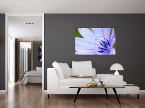 Tablou - Floare (90x60 cm)