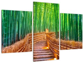 Tablou - Pădure de bambus japoneză (90x60 cm)