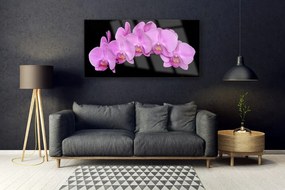 Tablouri acrilice Flori Floral roz negru
