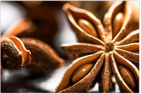 Tablou - Anason (90x60 cm)