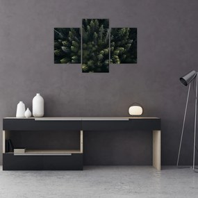 Tablou - Pădure (90x60 cm)