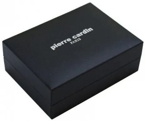Bricheta de lux PIERRE CARDIN MF 165-01