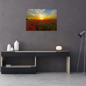 Tablou pe sticlă cu câmp cu maci (70x50 cm)
