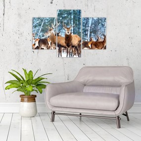 Tablou - Turma de căprioare (90x60 cm)