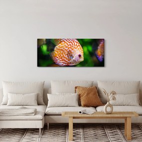 Tablou cu pește (120x50 cm)