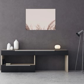 Tablou pe sticlă - Iarbă uscată (70x50 cm)