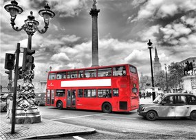 Tablou - Trafalgar Square (70x50 cm)