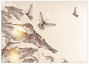 Tablou pe sticlă - Colibri (70x50 cm)