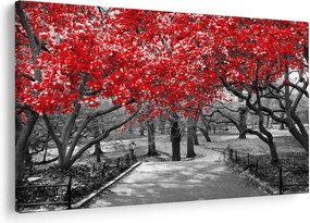 Tablou - Copaci roșii, Central Park, New York (90x60 cm)