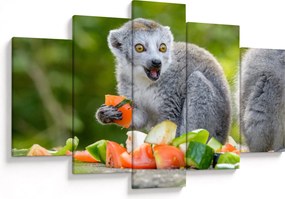 Tablou cu lemur (150x105 cm)