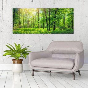 Tablou - Pădurea cu frunze de primăvară (120x50 cm)