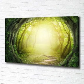 Tablouri tipărite pe pânză Tunel de copaci