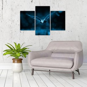 Tablou cu bufnița zburând (90x60 cm)