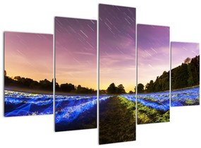 Tablou cu câmp colorat (150x105 cm)
