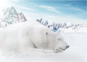 Tablou - Urs polar (70x50 cm)