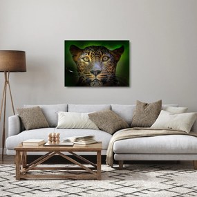 Tablou pe sticlă - Portretul leoparduslui, Sri Lanka (70x50 cm)