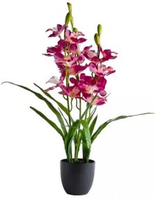 Compozitie florala orhidee orchenis