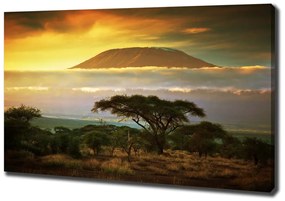 Imprimare tablou canvas Kilimanjaro kenya