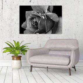 Tablou cu trandafir - albneagră (90x60 cm)