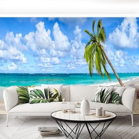 Fototapet Palmier de nuca de cocos
