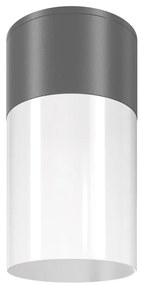 Spot aplicat, plafoniera pentru iluminat exterior IP54 Willis gri