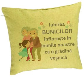 Perna Decorativa pentru Bunici 2, 40x40 cm, Verde, Husa Detasabila, Burduf