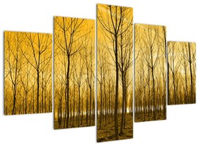 Tablou - Palntație cu pomi (150x105 cm)