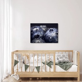 Tablou cu fructe cu picături de apă (70x50 cm)