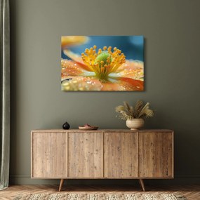 Tablou - Detaliu de floare (90x60 cm)