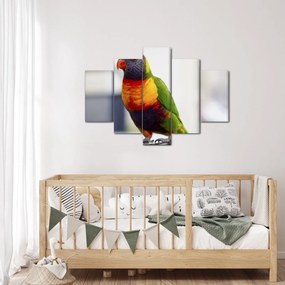 Tablou cu papagal (150x105 cm)