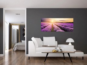 Tablou - Răsărit de soare în câmp de lavandă (120x50 cm)