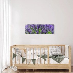 Tablou - lavanda (cu ceas) (90x30 cm)