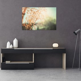 Tablou - Plante după ploaie (90x60 cm)