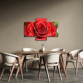 Tablou - Flori de trandafir (90x60 cm)