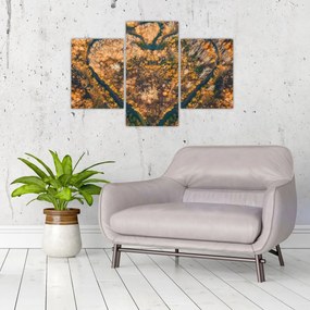 Tablou - Râu în formă de inimă (90x60 cm)