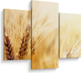 Tablou- detaliu cu (90x60 cm)