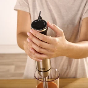 Solac BA5611 stick blender Pro 1500 Chef