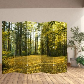 Paravan - Pădurea toamna (210x170 cm)