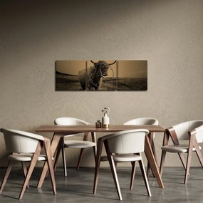 Tablou - Vacă scoțiană pe fugă (cu ceas) (90x30 cm)